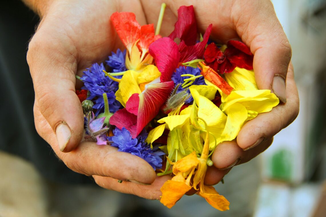 flower petals in the palms of hand