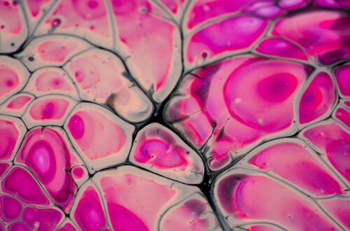Cells in the body under a microscope in the colours of vibrant pink