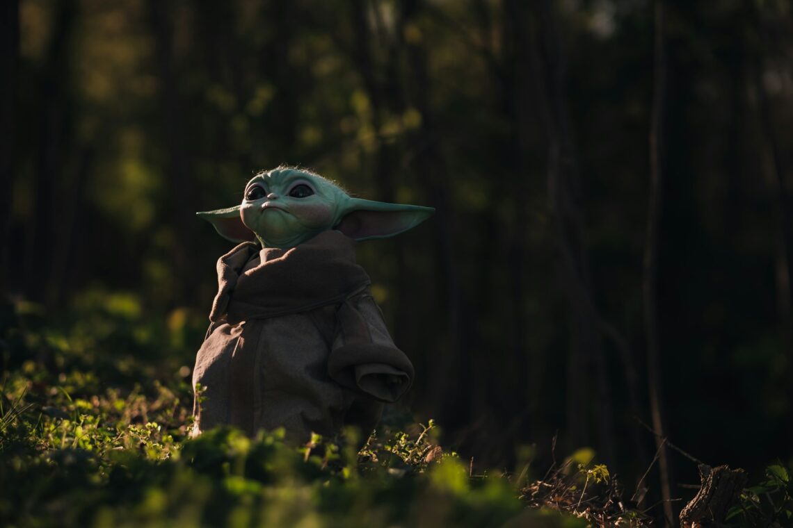 Yoda from Star wars in the forest