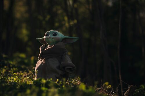 Yoda from Star wars in the forest