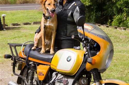 Motorbike and Girl with Dog Dakar dingo